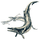 Life restoration of a pod of the Eocene whale Basilosaurus Basilosaurus.jpg