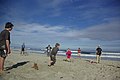 Beach cricket in Australia 29