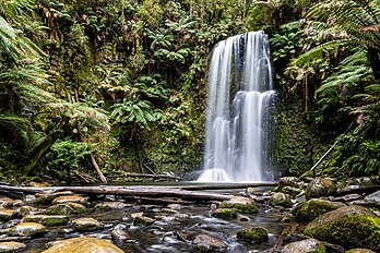 Cascata de Beauchamp no Parque Nacional Great Otway. O parque está localizado na região de Barwon South West, na parte sudoeste do estado de Vitória, Austrália. O parque nacional de 103 185 hectares está situado a aproximadamente 162 quilômetros a sudoeste de Melbourne, nas cordilheiras Otway, uma baixa cordilheira costeira. Ele contém uma grande variedade de paisagens e tipos de vegetação. É uma área popular para turistas interestaduais e internacionais, com empresas operando passeios na região. Foi identificado pela BirdLife International como uma Área importante para a preservação de aves (IBA), pois abriga populações de espécies endêmicas da Austrália. (definição 6 508 × 4 339)