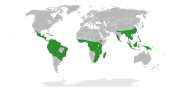 Category:Cucurbitales distribution maps - Wikimedia Commons