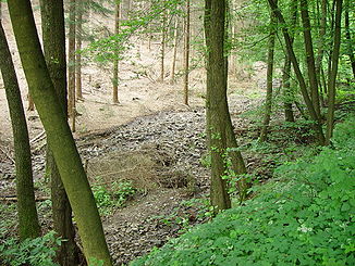 The Bendahler Bach in the middle reaches at low water