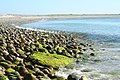 Le littoral de Béniguet vu de sa pointe nord-est.