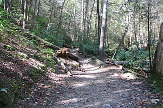 <span class="mw-page-title-main">Benton MacKaye Trail</span> Long-distance hiking trail in the United States