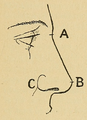 Bertillon - Identification anthropométrique (1893) 155.png