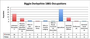 Total Occupations from both genders of Biggin, Derbyshire, as reported by the Census of Industry Occupational Data of 1881 Biggin Derbyshire 1881 Occupations.jpg