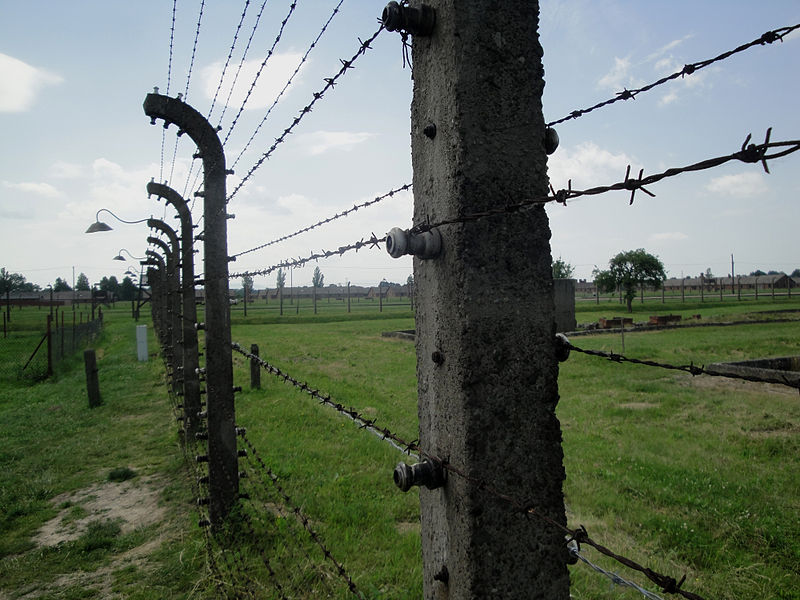 File:Birkenau Fences.JPG