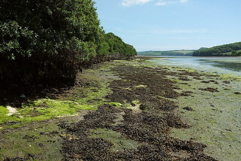 File:Blanksmill Creek - geograph.org.uk - 4992874.jpg