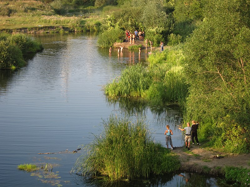 File:Blick von der Brücke - panoramio (2).jpg