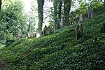 Blovice Jewish cemetery 04.JPG