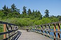 * Nomination Boardwalk in Swan Lake Christmas Hill Nature Sanctuary, Saanich, Canada --Podzemnik 01:00, 13 June 2018 (UTC) * Promotion  Support Charming motive, well balanced composition and of course, best quality. -- Johann Jaritz 01:52, 13 June 2018 (UTC)