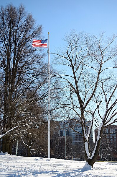 File:Boston Common - flag.jpg