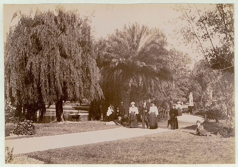 File:Botanical Gardens, Sydney, c. 1900-1910 (13708028523).jpg
