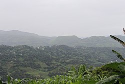View from the Boyo Hills to Njinikom