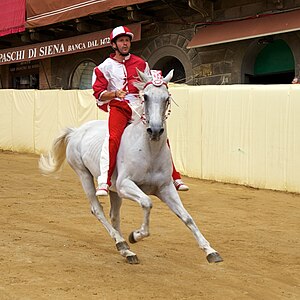 Palio Di Siena: Contrade, La storia del Palio, La carriera