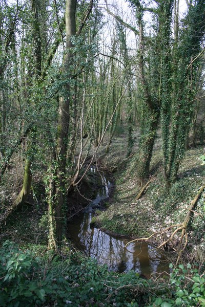 File:Brook in Worsley Covert - geograph.org.uk - 1192595.jpg