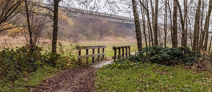 "Bruggetje_in_fietspad_naar_Langweerderwielen_(Langwarder_Wielen)_02.jpg" by User:Famberhorst