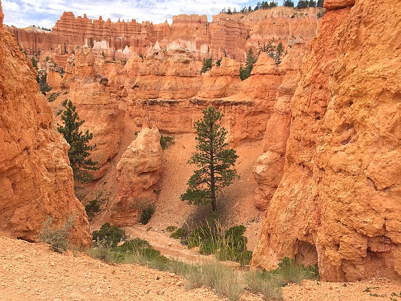 File:Bryce Canyon from scenic viewpoints (14657251456).jpg