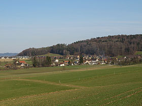 View of Büttikon