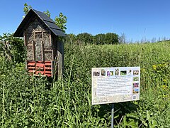 Insektenschutz in Busch