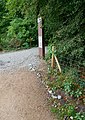 Rock snake created during the 2020 COVID-19 pandemic in Lesnes Abbey Woods, Abbey Wood.