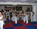 Academia de capoeira regional