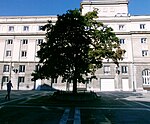 Plaza del Carbayón