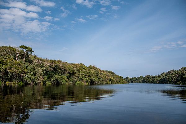 Anavilhanas National Park, Amazonas, Brazil