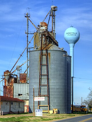 <span class="mw-page-title-main">Cheneyville, Louisiana</span> Town in Louisiana, United States