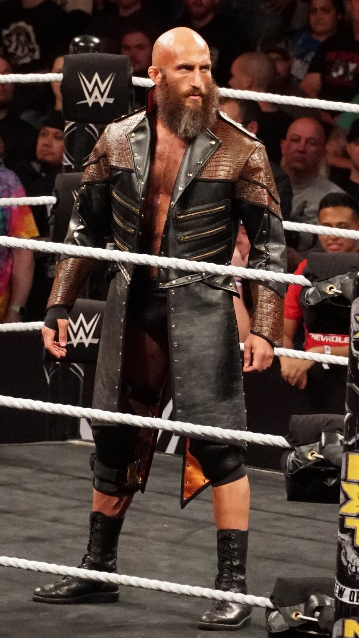 Tommaso Ciampa Wikipedia - roblox wrestling jacket