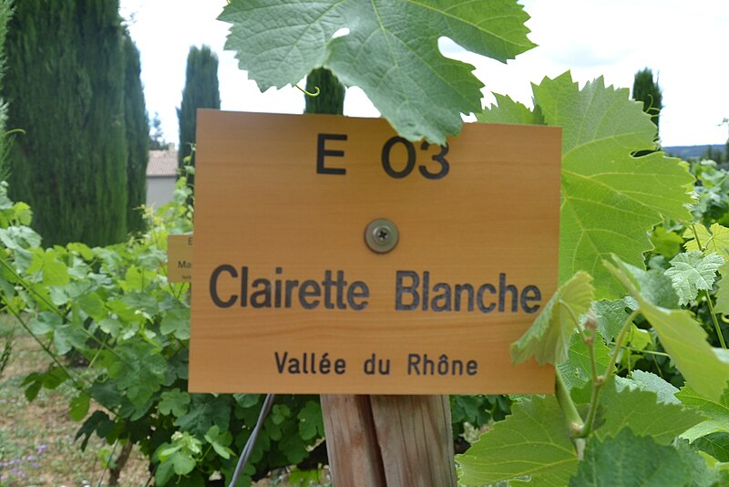 File:Clairette blanche - panneau.jpg