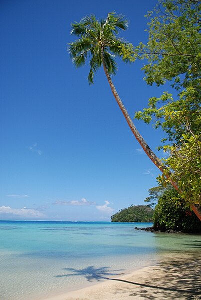 File:Coconut tree and lagoon, Huahine.jpg