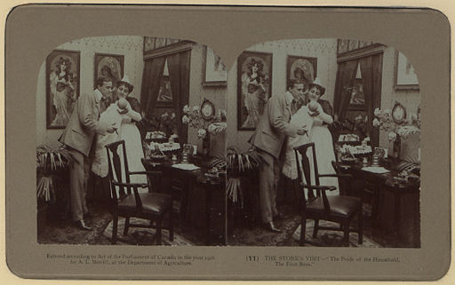 Courtship and wedding Photo 11 The stork's visit stereoscopic view (HS85-10-17208)