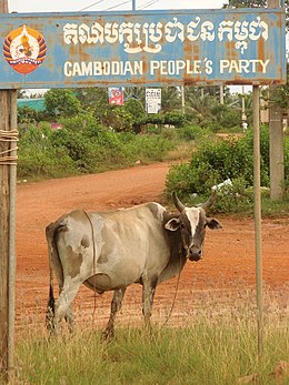 Cambodjaanse Volkspartij: Naamgeving, Geschiedenis, Koepelorganisatie