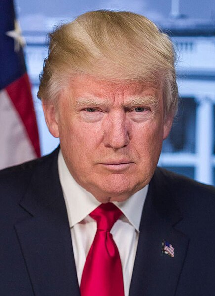 File:DJT Official Portrait (cropped).jpg