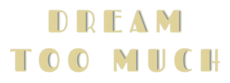 Logo del disco Dream Too Much