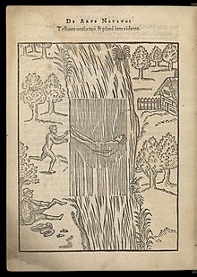 Illustration from Everard Digby's The Art of Swimming (De Arte Natandi) (1587) De arte natandi libri duo Wellcome L0069817.jpg