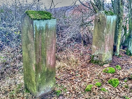 Denkmalzone Jüdischer Friedhof Olsbrücken