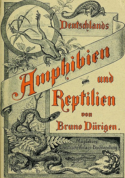 File:Deutschlands Amphibien und Reptilien (1890) (20700531338).jpg