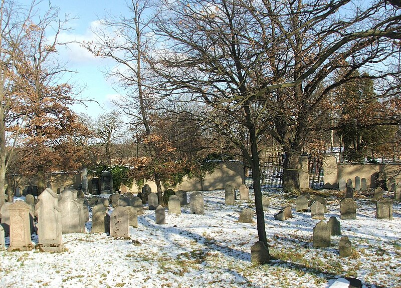 File:Dobris jewish cemetery 4972.jpg