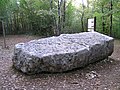 Fragment de table du dolmen A de la forêt de Boixe, dit improprement « Pierre du Sacrifice »