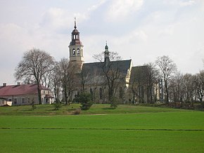 Domaniewice6.JPG