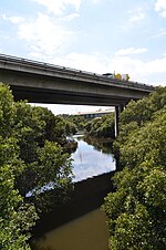 Duck River (New South Wales)