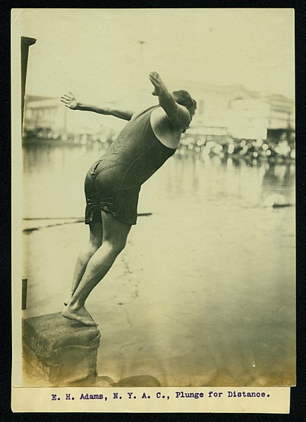 Ficheiro:E.H. Adams, New York Athletic Club, Plunge for Distance (Swimming and Diving event at the 1904 Olympics).jpg