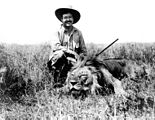 Ernest Hemingway chassant le lion, en 1934.