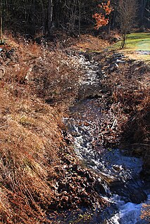 Fallow Hollow tributary of Coles Creek in Columbia County, Pennsylvania