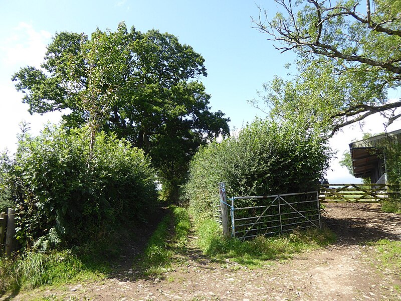 File:Farm buildings by Larkey Lane - geograph.org.uk - 5503060.jpg