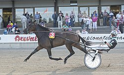 Fascination & Johnny Takter.jpg