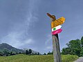 wikimedia_commons=File:Fingerpost near Grindelwald 1 2021-06-19.jpg