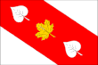 Vlag