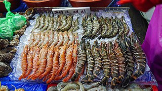 Chinese white shrimp Species of crustacean